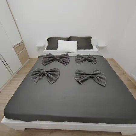 Simic Apartament Banja Koviljača