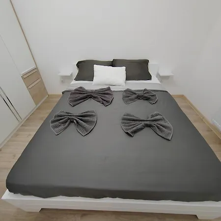 Simic Apartment Banja Koviljaca