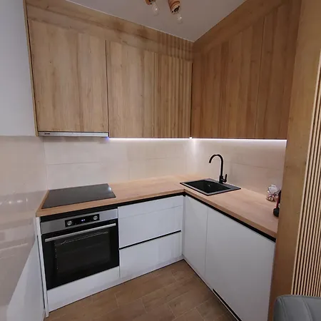 Apartment Simic Banja Koviljaca
