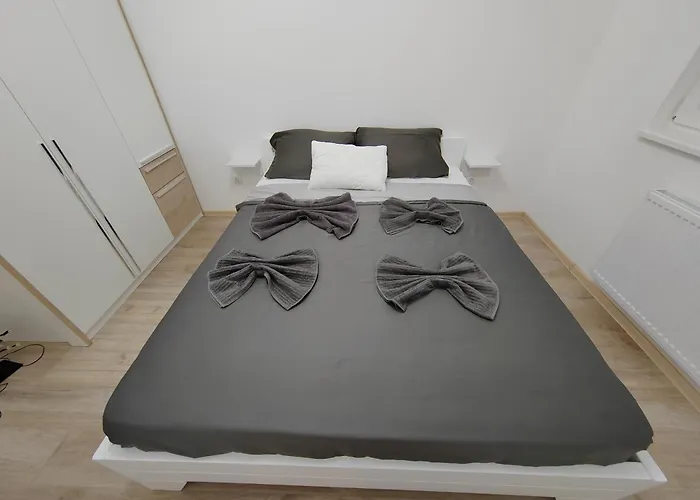 Simic Apartment Banja Koviljača