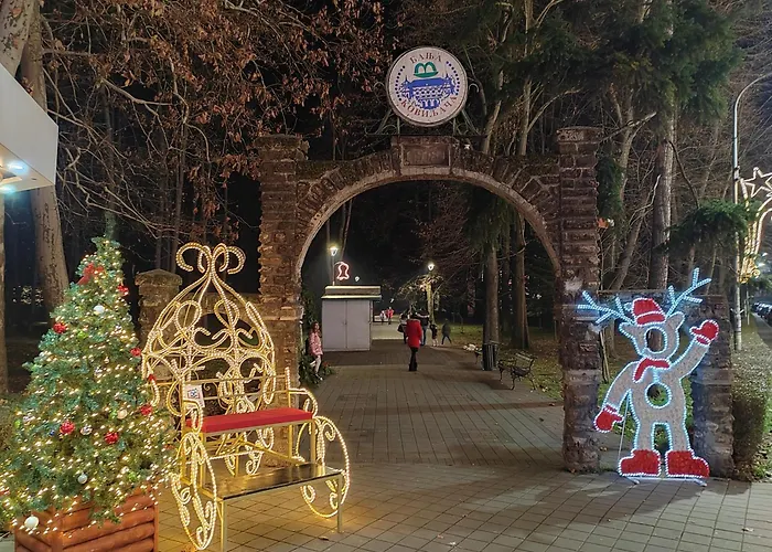 Simic Apartment Banja Koviljača